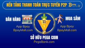 Cơ hội tạo thu nhập với vốn rất nhỏ là 11 đô tại Bpay 9999